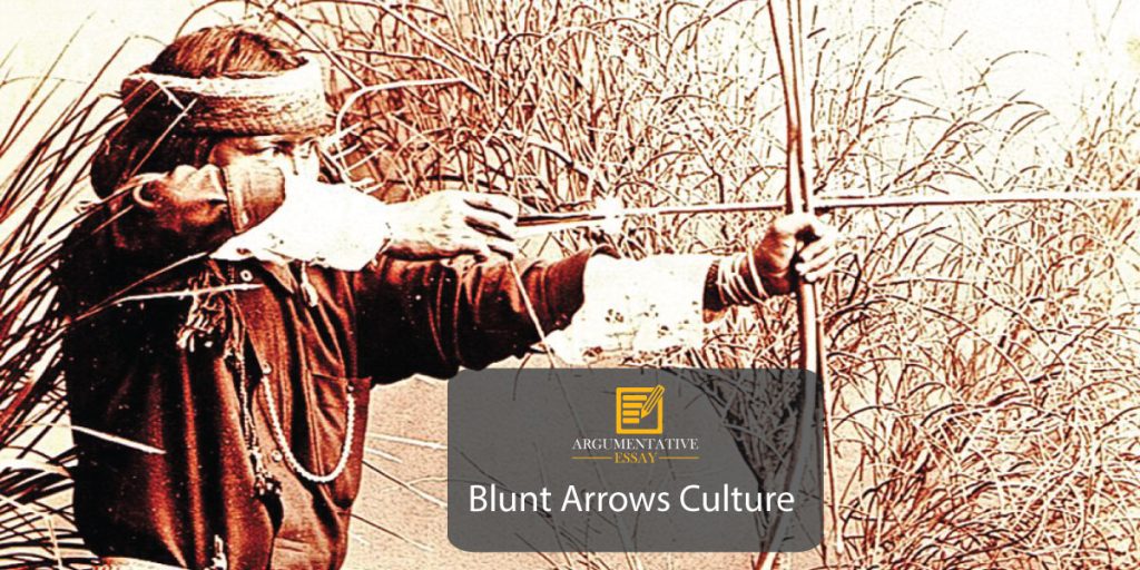 Blunt Arrows Culture Free Essay
